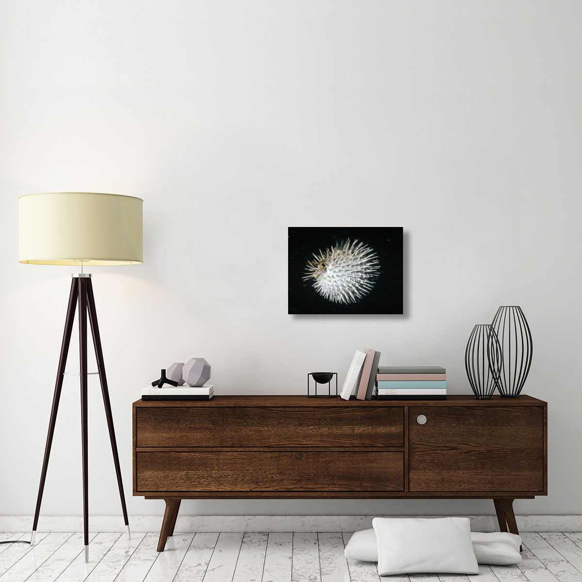 Long-spine Porcupinefish in defense posture, North America-Canvas Art-24&quotx18"