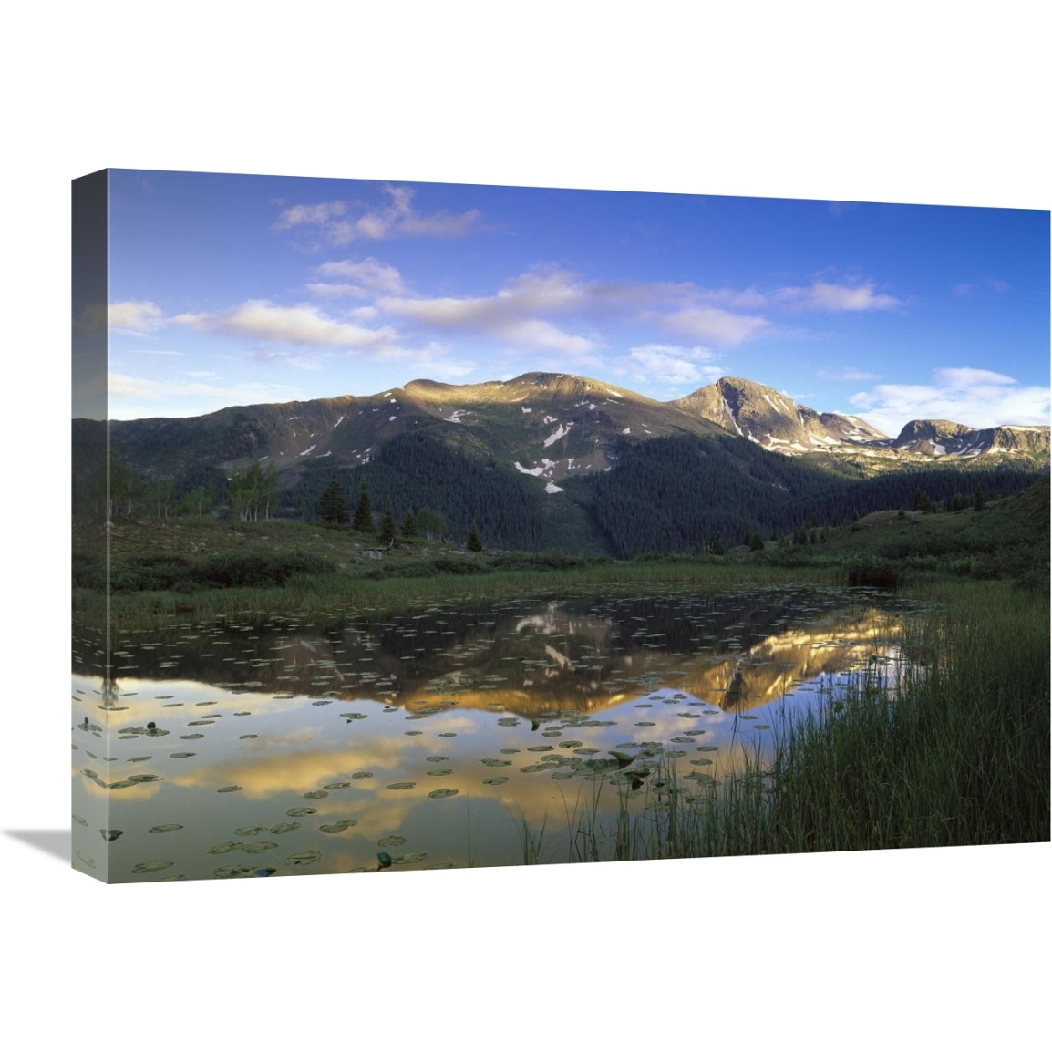 West Needle Mountains reflected pond, Weminuche Wilderness, Colorado-Canvas Art-24&quotx18"