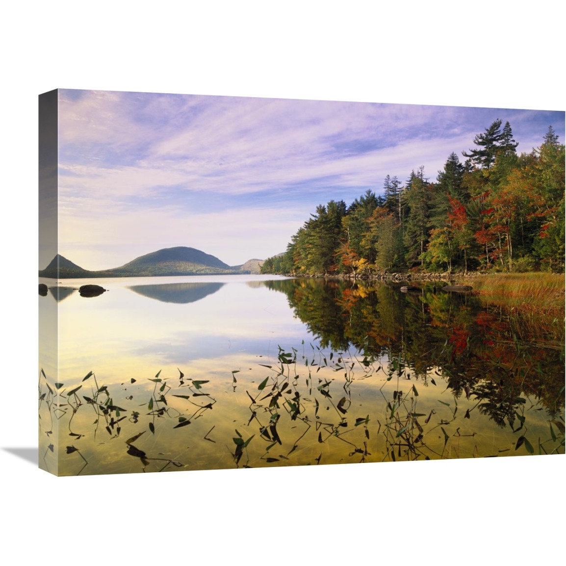 Eagle Lake, Mount Desert Island, Acadia National Park, Maine-Canvas Art-24&quotx18"
