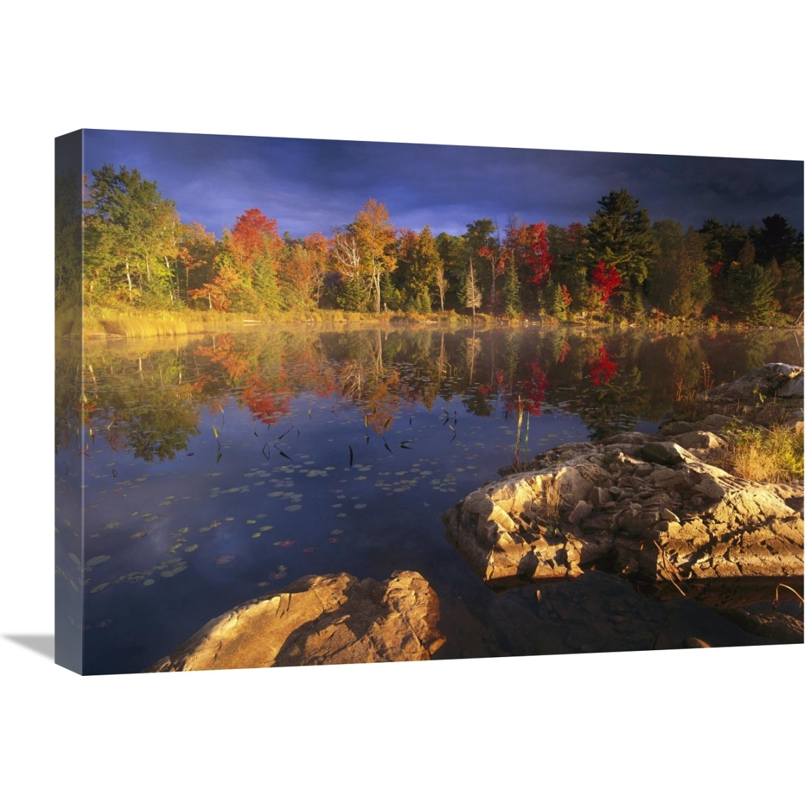 Lang Lake, fall colors, Ontario, Canada-Canvas Art-24&quotx18"
