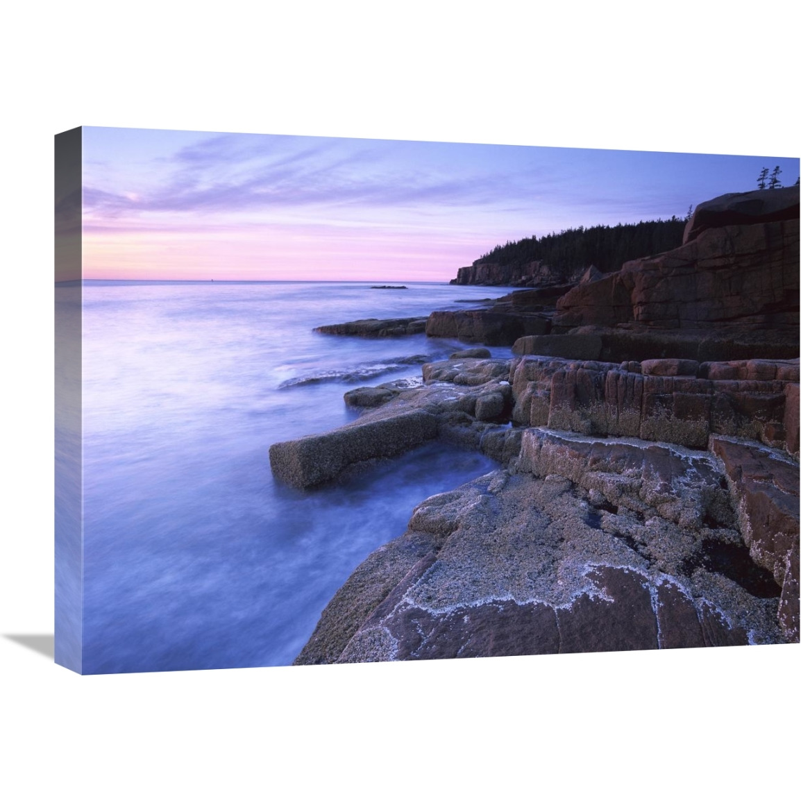 Atlantic coast near Thunder Hole, Acadia National Park, Maine-Canvas Art-24&quotx18"