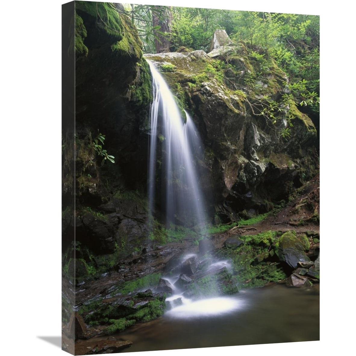 Grotto Falls and Roaring Fork Motor Nature Trail, Great Smoky Mountains-Canvas Art-18&quotx24"