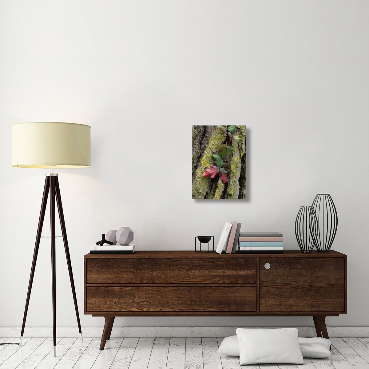 Poison Oak on Monterey Pine bark, Pt Lobos, California-Canvas Art-18&quotx24"