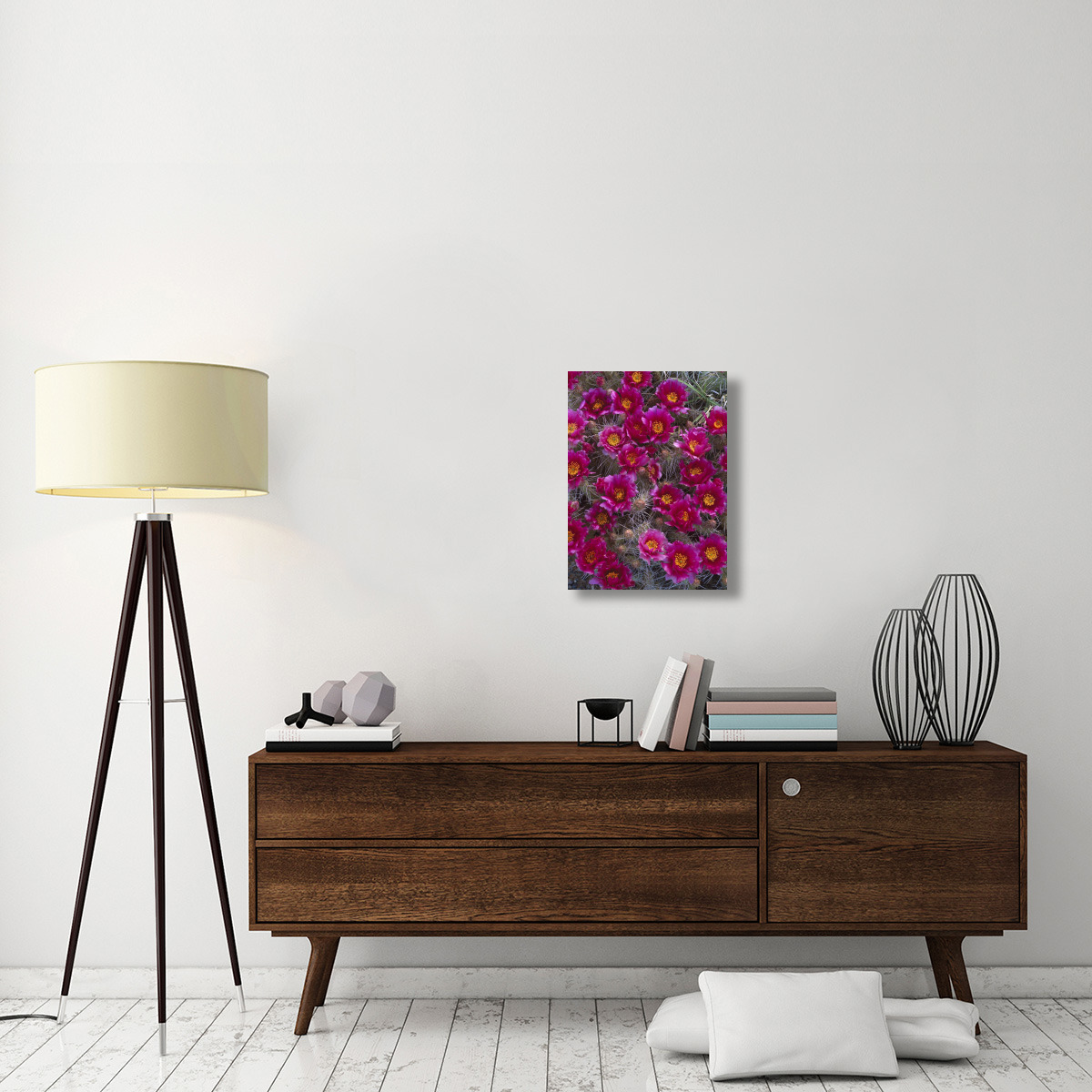Grizzly Bear Cactus in bloom, North America-Canvas Art-18&quotx24"