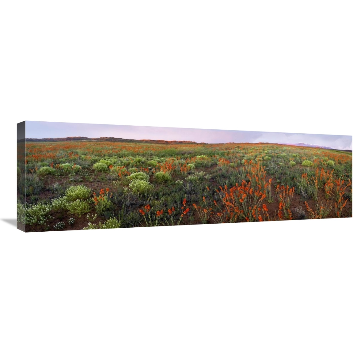 Panoramic view of Salt Valley, Arches National Park, Utah-Canvas Art-36&quotx12"