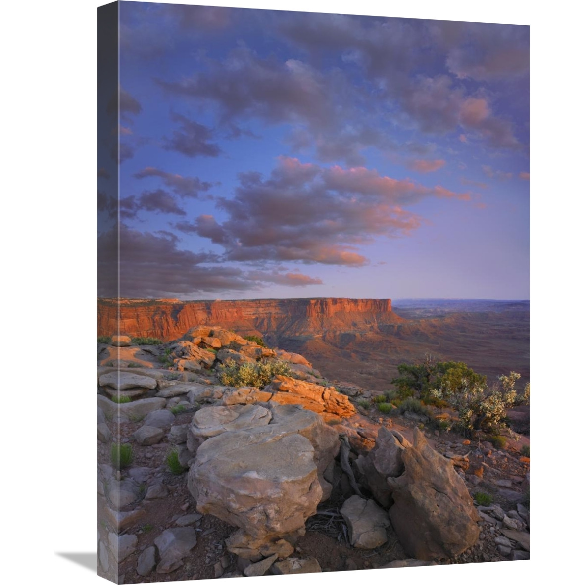 View from the Green River Overlook, Canyonlands National Park, Utah-Canvas Art-18&quotx24"