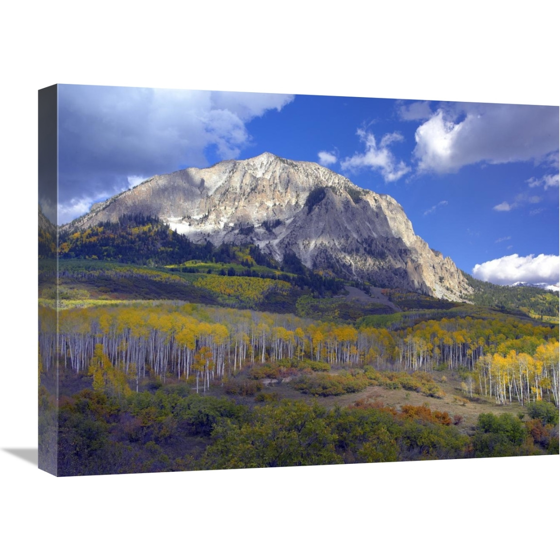 Fall colors at Gunnison National Forest, Colorado-Canvas Art-24&quotx18"