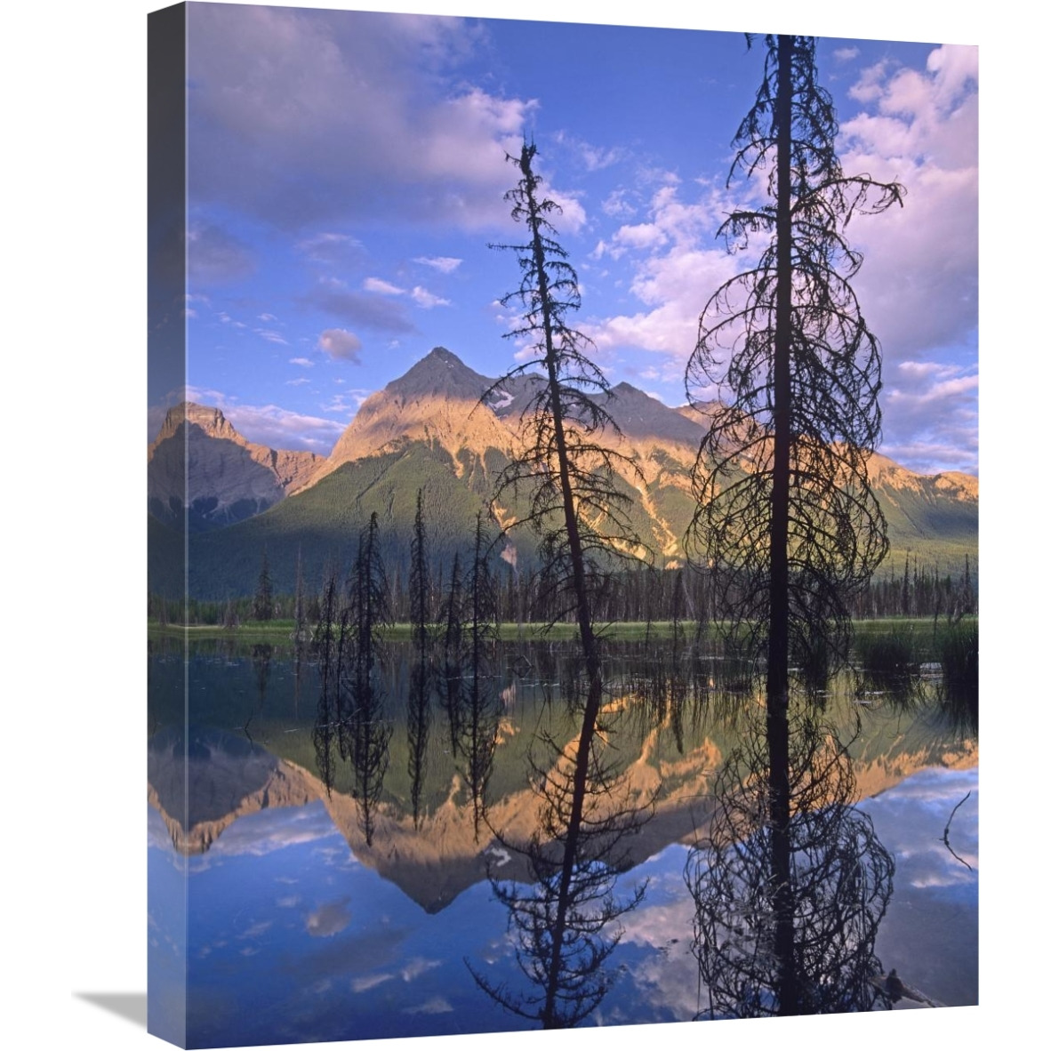 Chancellor Peak reflected in lake, Yoho National Park, BC, Canada-Canvas Art-20&quotx24"