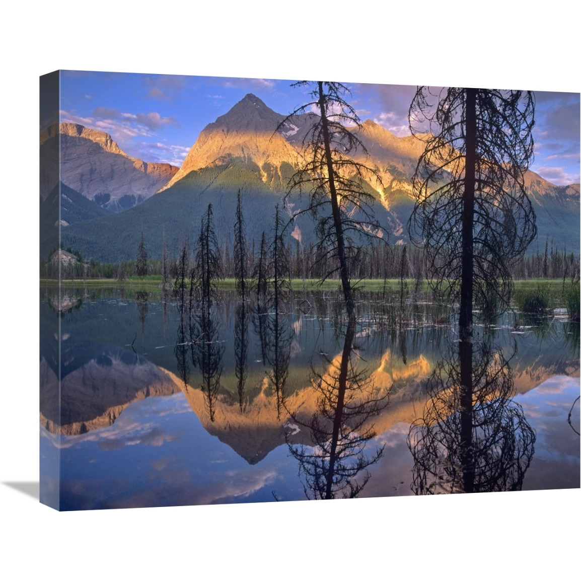 Chancellor Peak reflected in lake, Yoho National Park, BC, Canada-Canvas Art-24&quotx20"