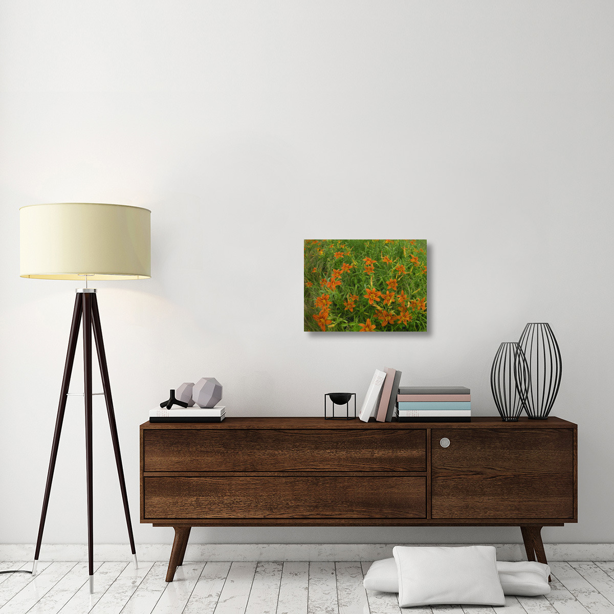 Orange Daylily growing in meadow, North America-Canvas Art-24&quotx18"