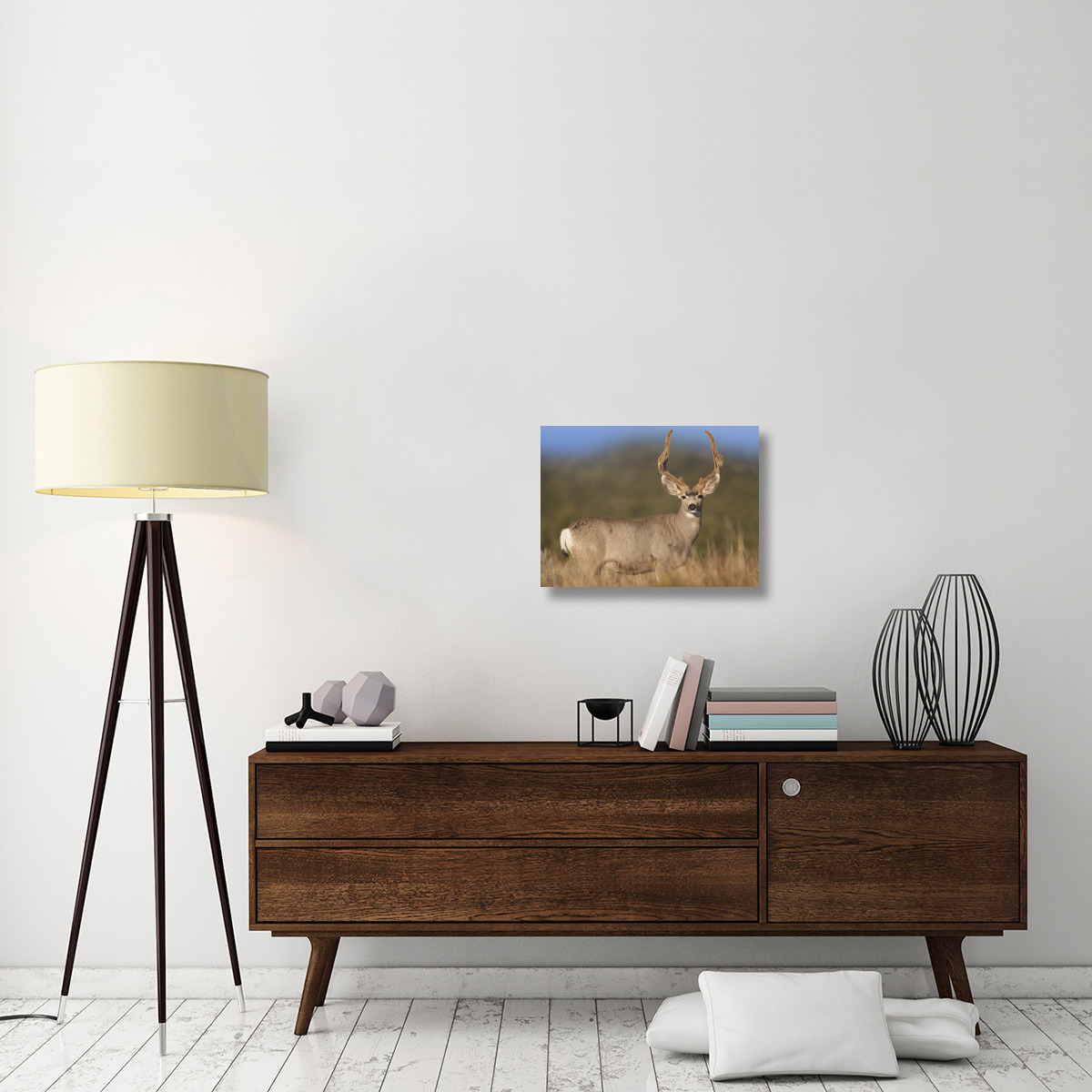 Mule Deer male in dry grass, North America-Canvas Art-24&quotx18"
