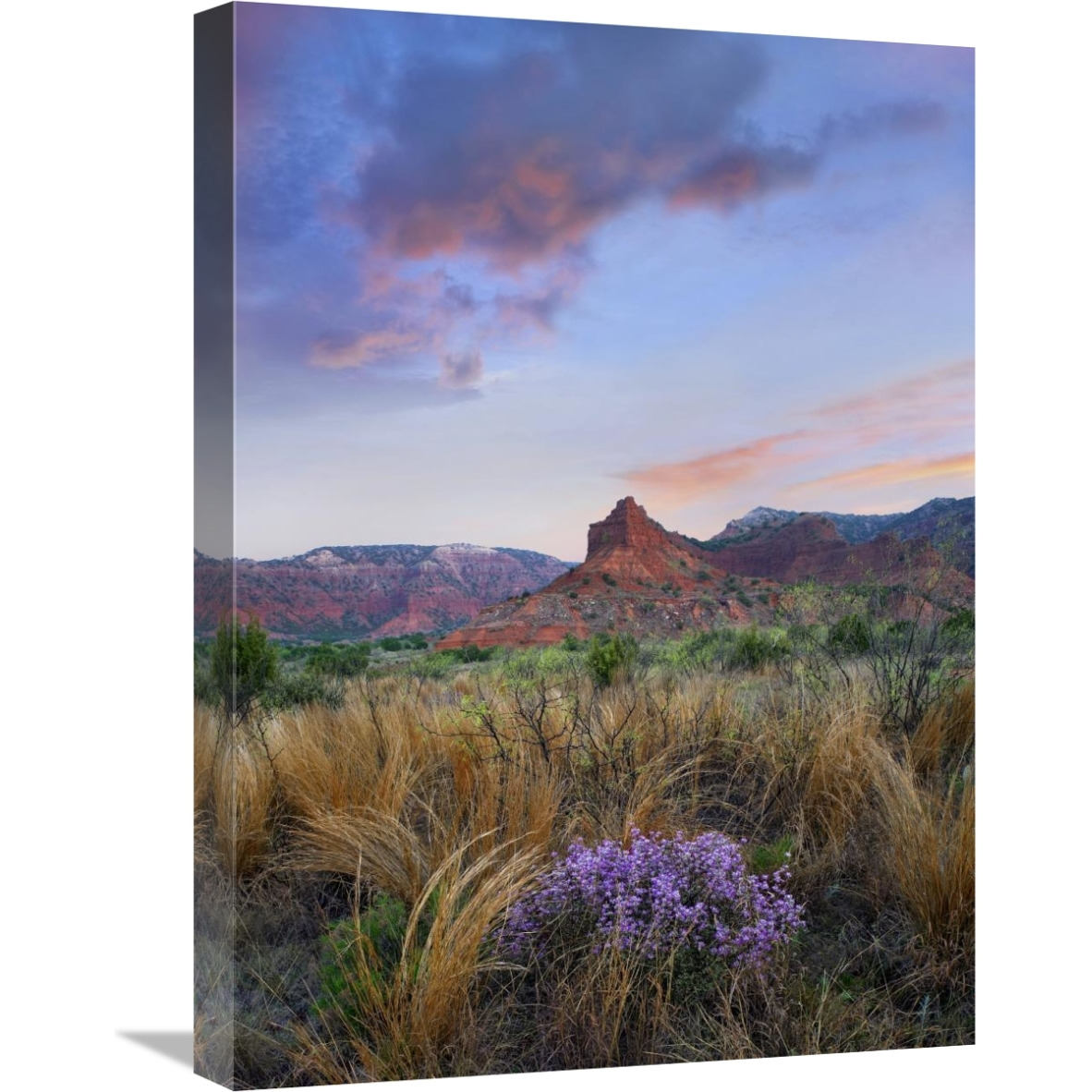 Caprock Canyons State Park, Texas-Canvas Art-18&quotx24"