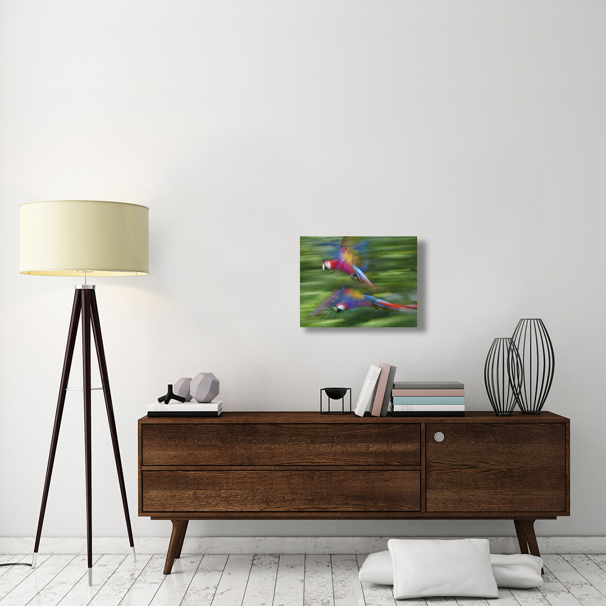 Scarlet Macaw pair flying, Costa Rica-Canvas Art-24&quotx18"
