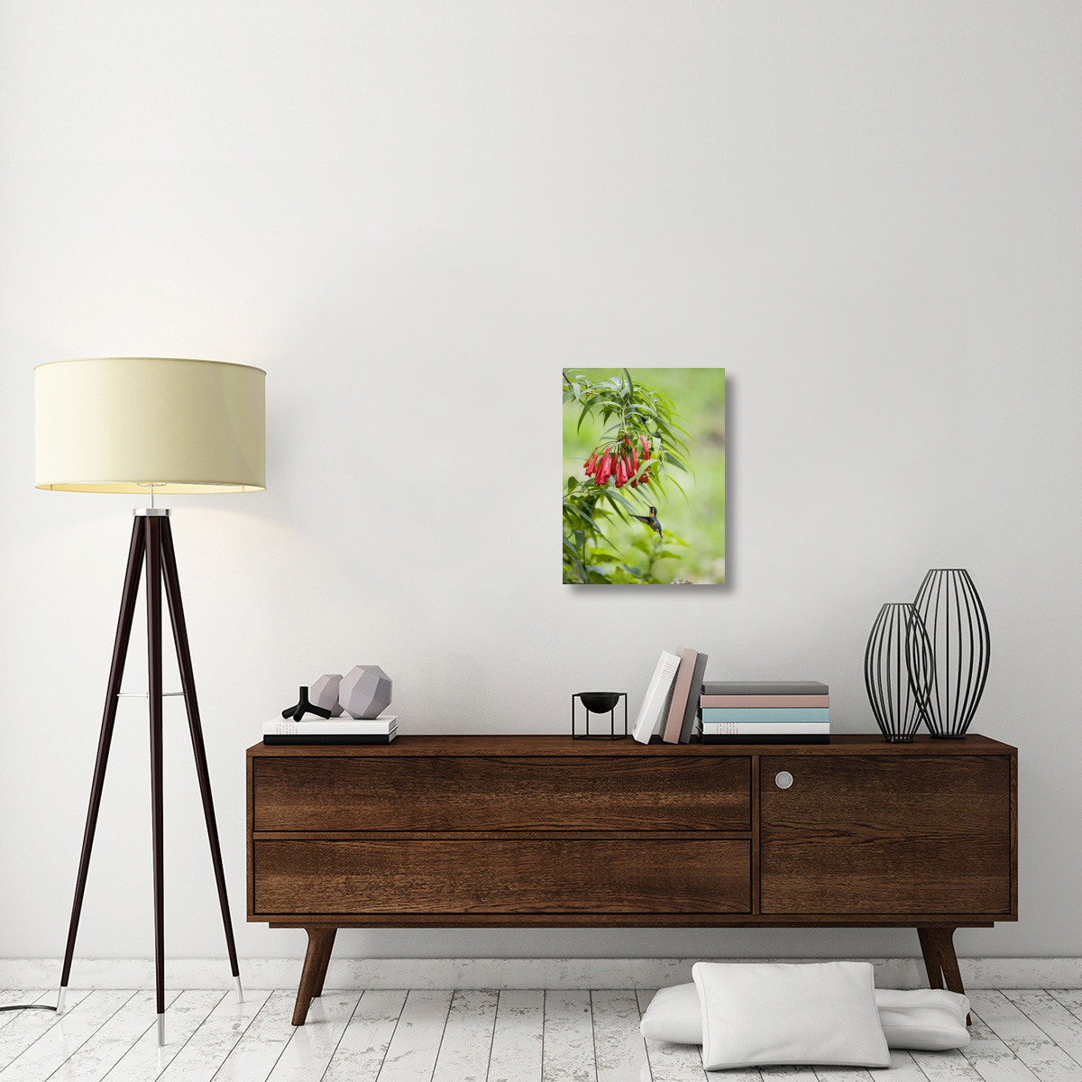 Purple-throated Mountain-gem hummingbird female, Costa Rica-Canvas Art-18&quotx24"