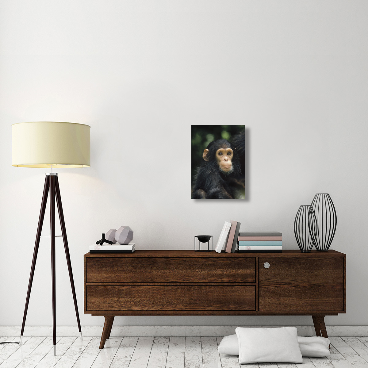Chimpanzee baby portrait, Gombe Stream National Park, Tanzania-Canvas Art-18&quotx24"