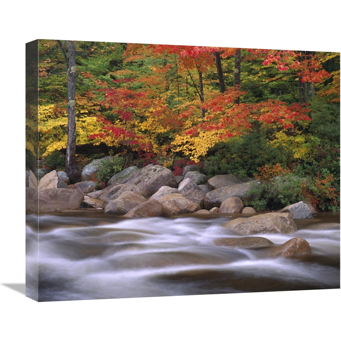 Autumn along Swift River, White Mountains National Forest, New Hampshire-Canvas Art-22&quotx18.26"