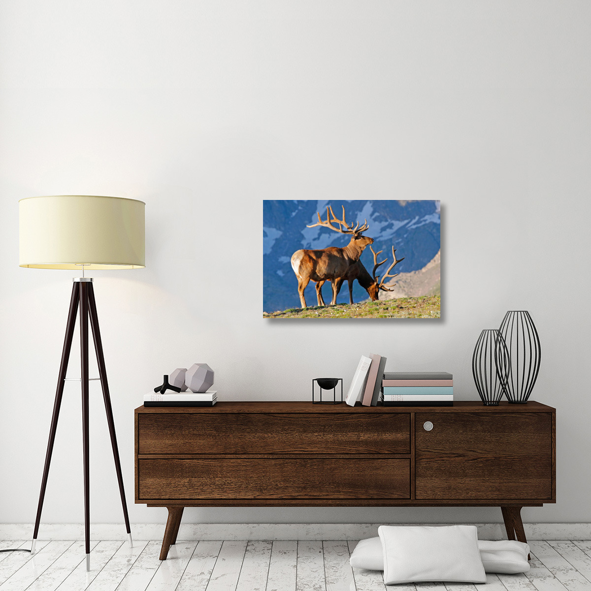 Two High Country Bull Elk-Canvas Art-36&quotx24.12"