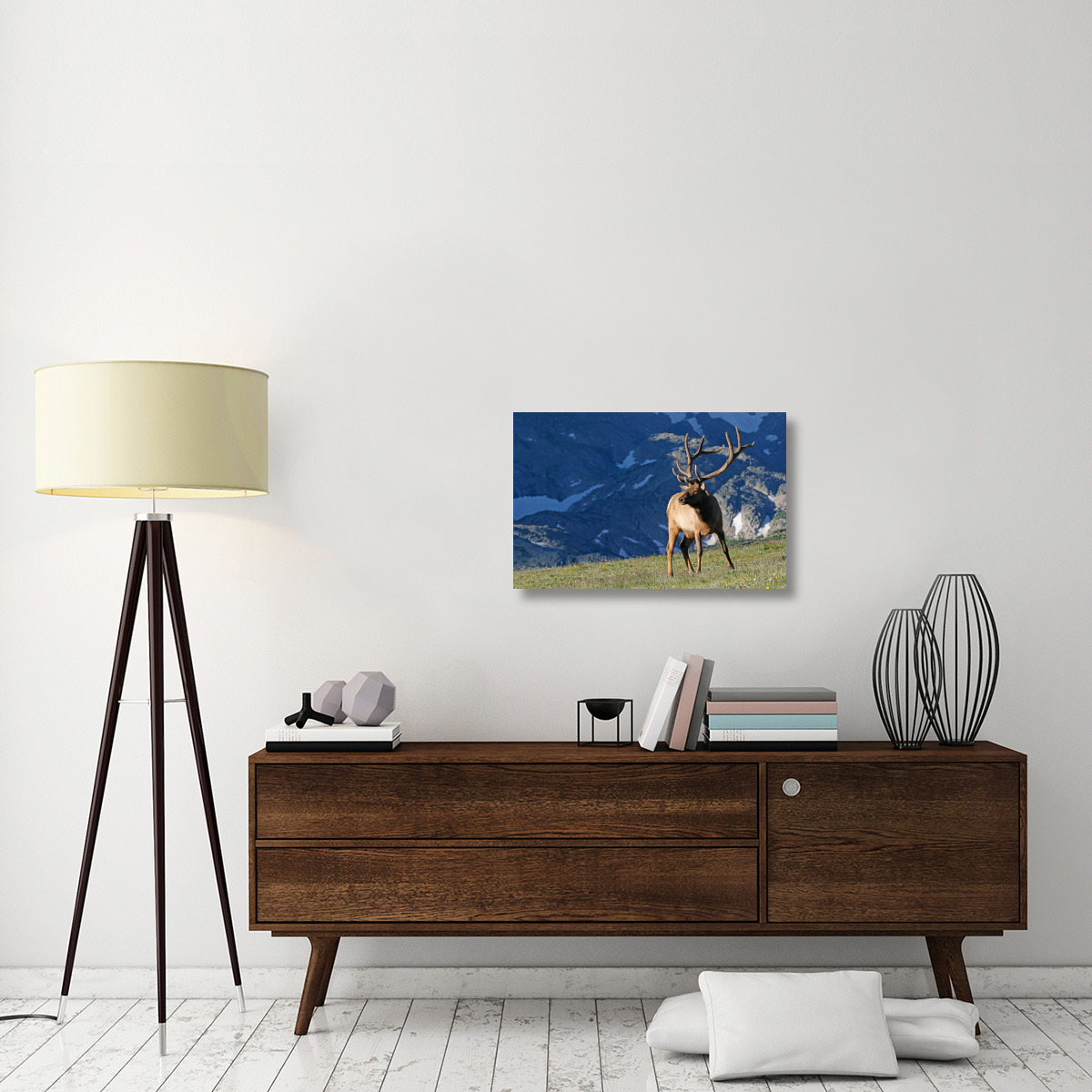 Above the Timberline-Canvas Art-30&quotx19.5"