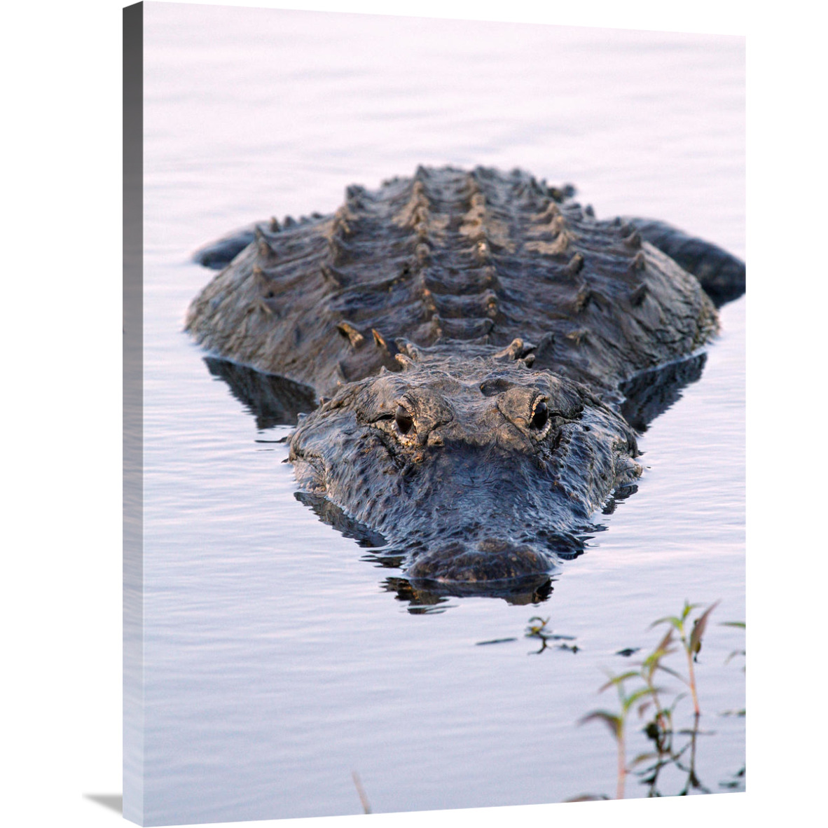 Waiting-Canvas Art-27.72&quotx36"