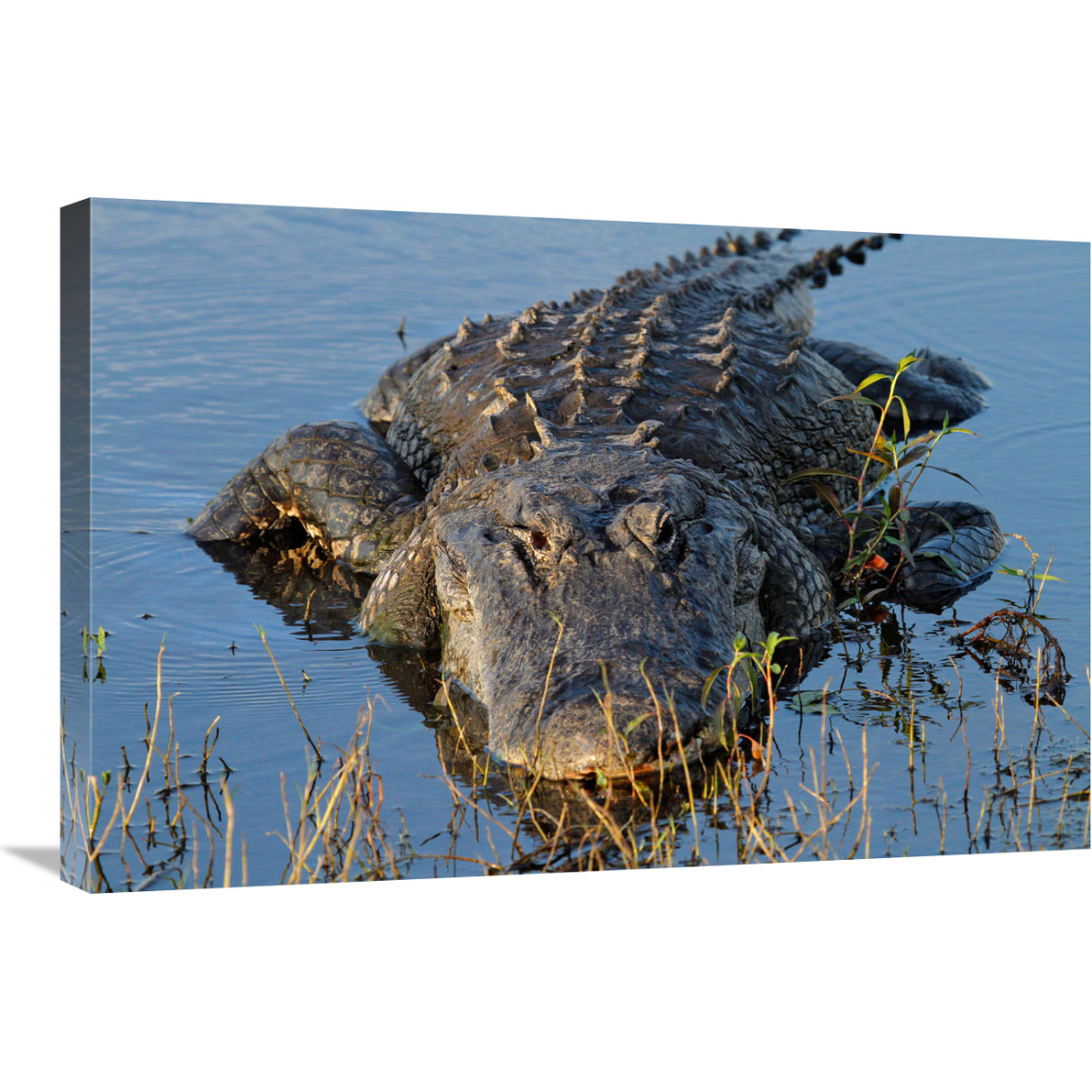 Ready for Action-Canvas Art-30&quotx20.1"