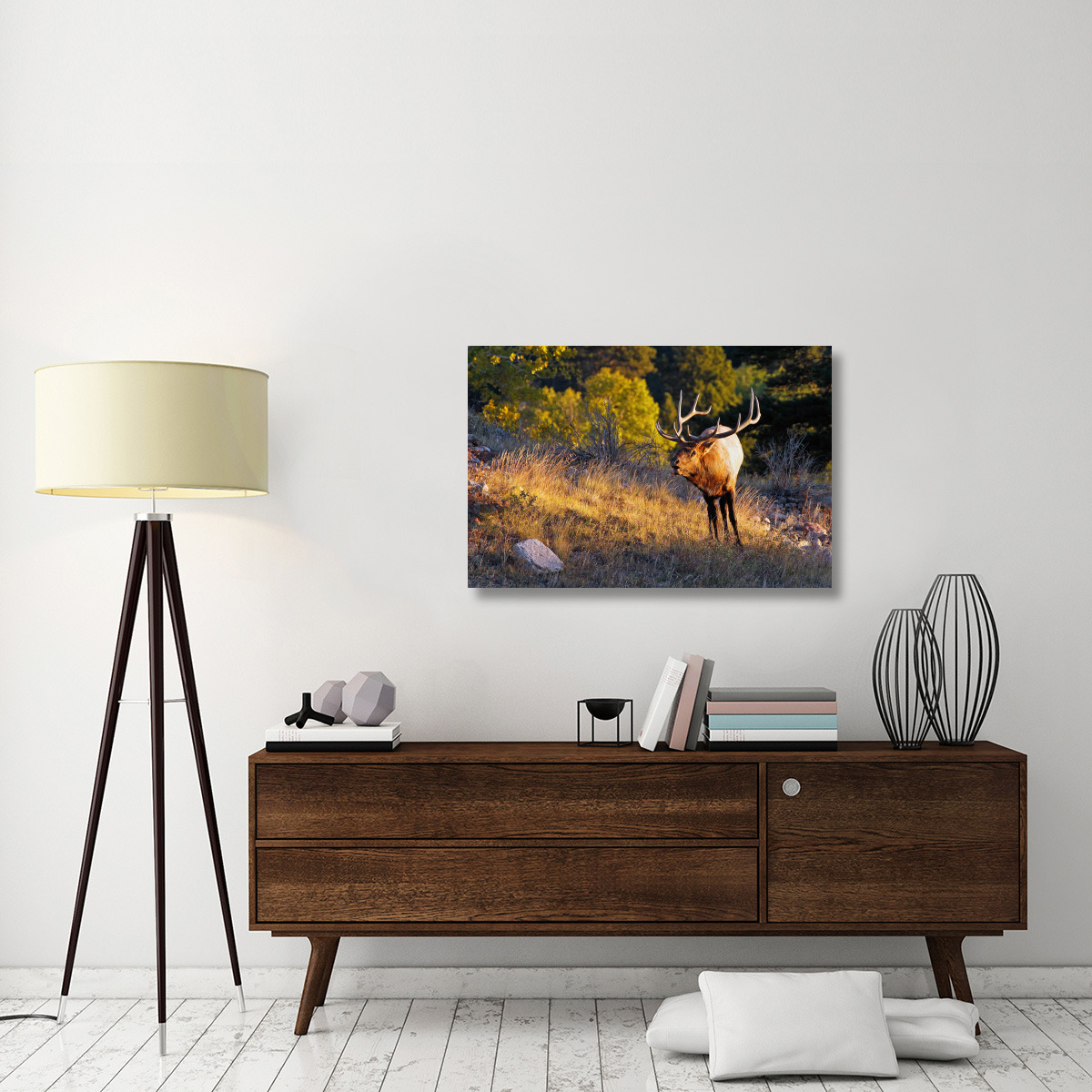 Early Morning Light-Canvas Art-40&quotx26.8"