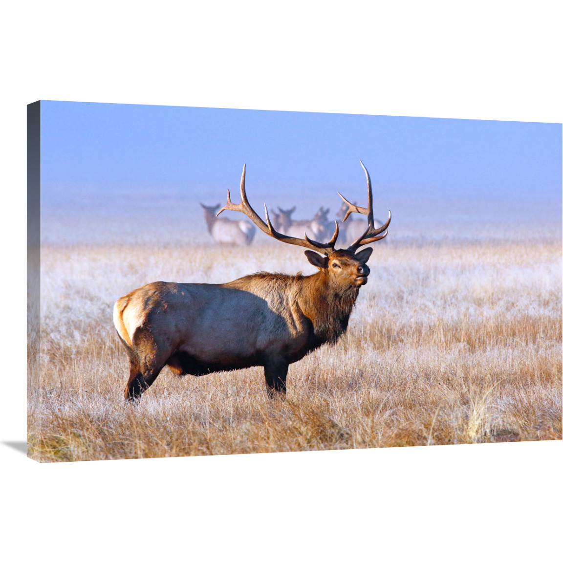 The Family Group-Canvas Art-36&quotx24.12"