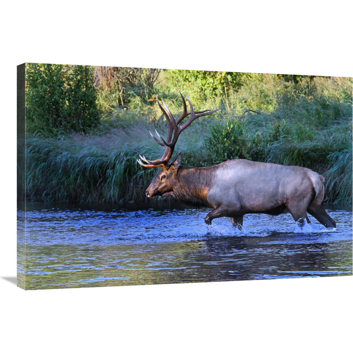 Crossing the River-Canvas Art-36&quotx24.12"