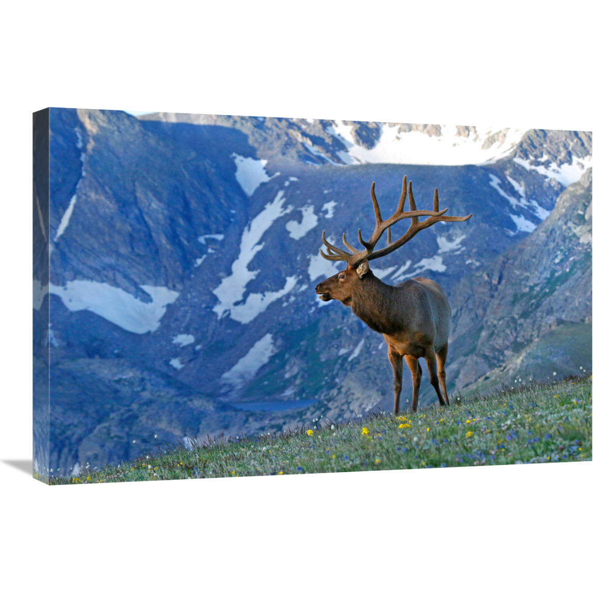 The Call of the Mountains-Canvas Art-30&quotx20.1"