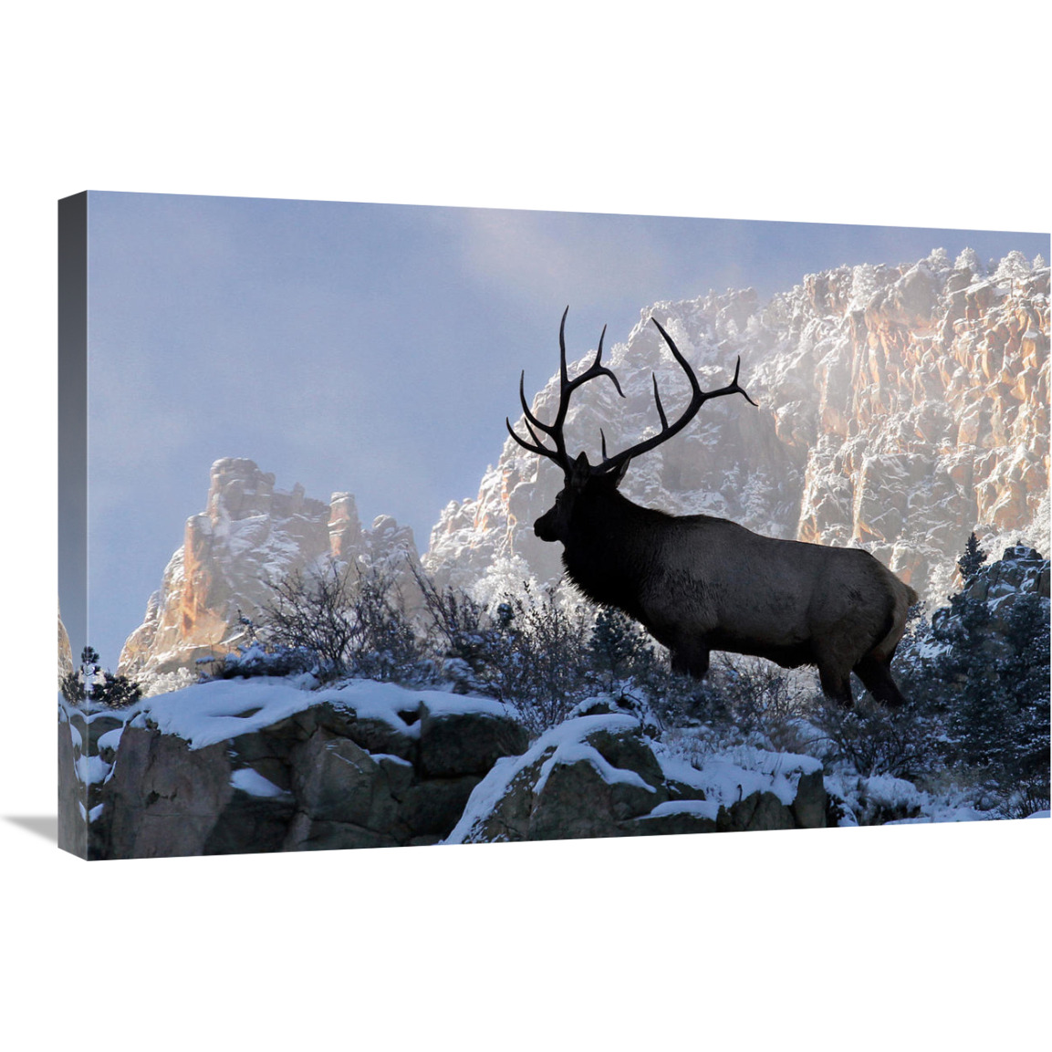 King of the Mountain-Canvas Art-30&quotx20.1"