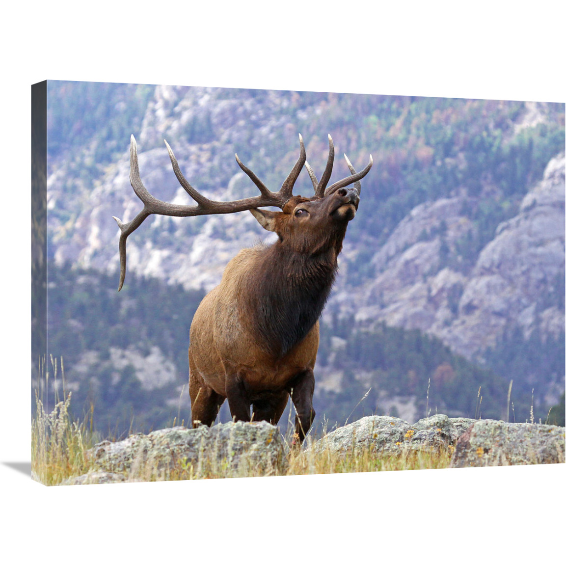 On the Ridgeline-Canvas Art-30&quotx22.5"