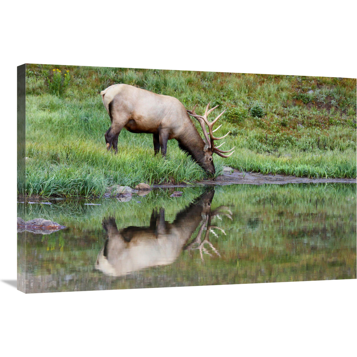 Reflections-Canvas Art-36&quotx24.12"