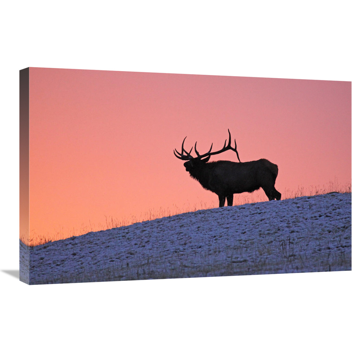 Winter Sunrise-Canvas Art-30&quotx19.5"