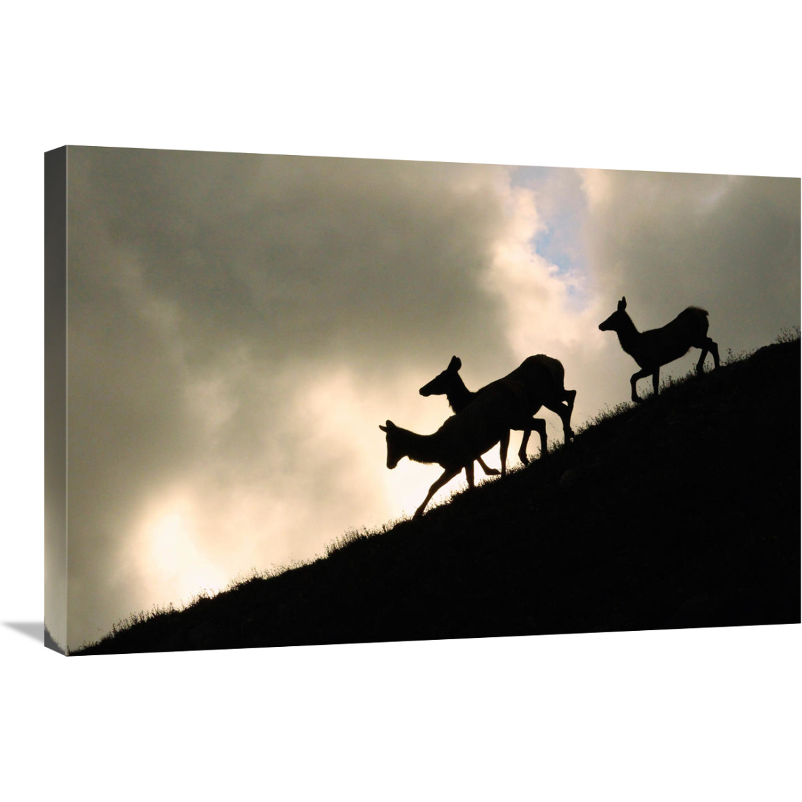 Night Ridgeline-Canvas Art-30&quotx20.1"
