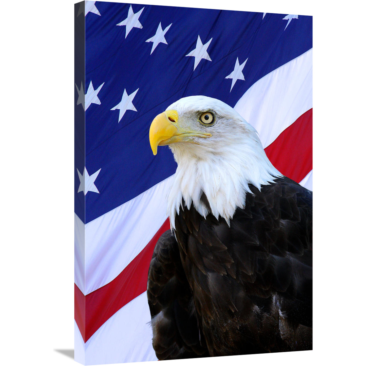 The Patriot-Canvas Art-20.1&quotx30"