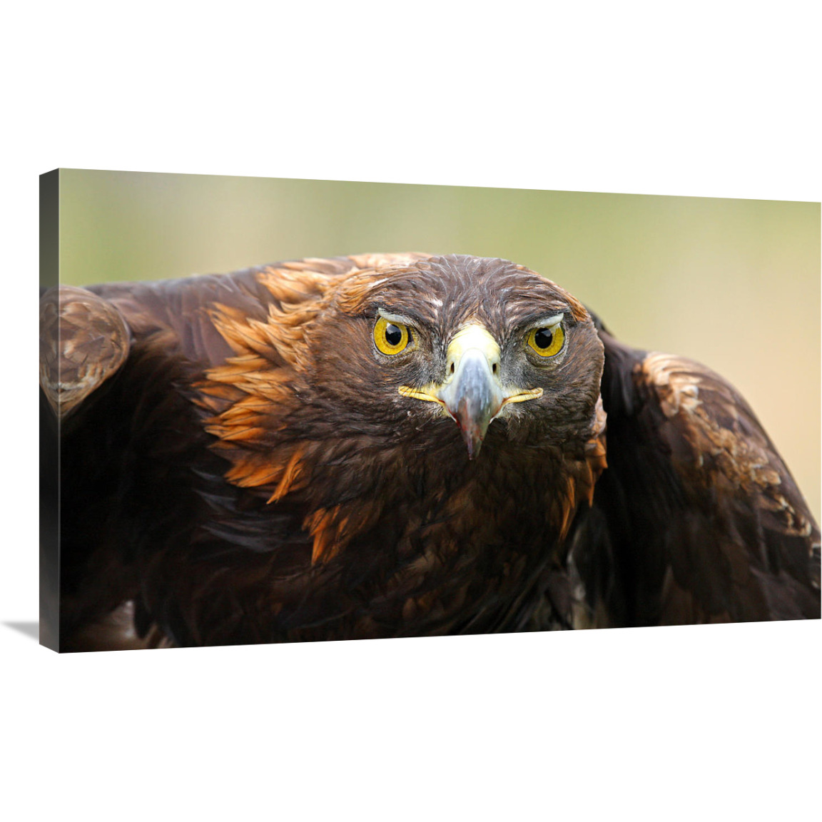 Ready for Flight-Canvas Art-36&quotx21.96"