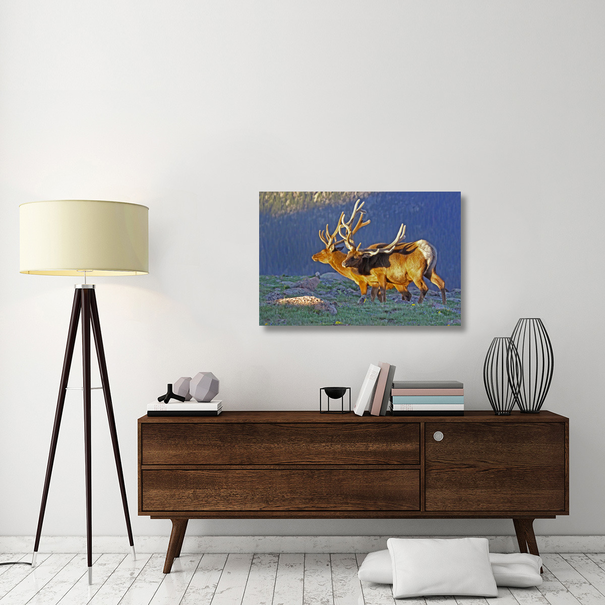 Bull Elks at Sunrise-Canvas Art-40&quotx26.8"