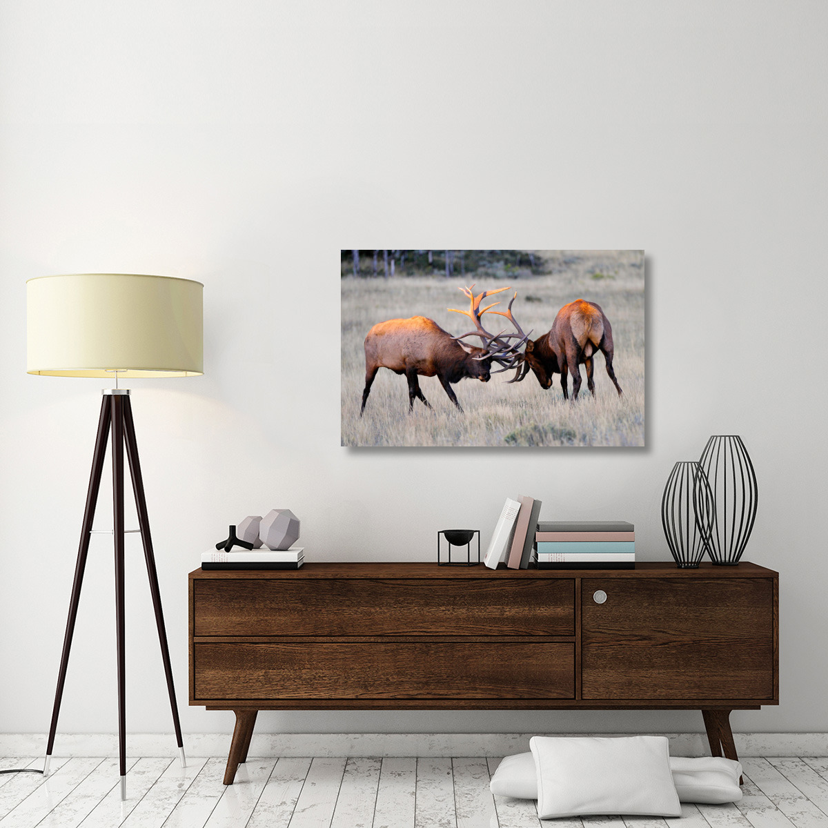 Elk Duel at Sunrise-Canvas Art-44&quotx28.6"