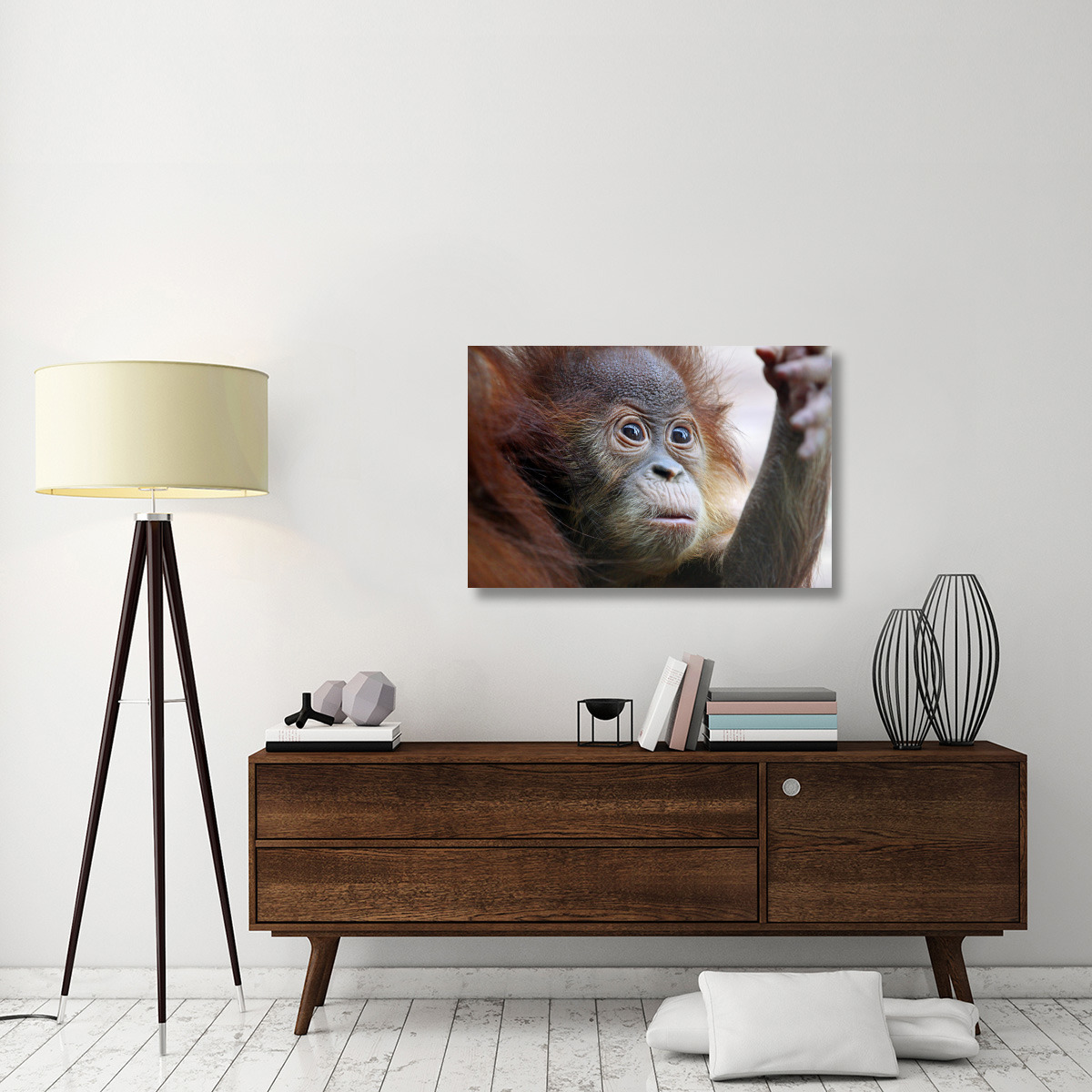 Orangutan Baby-Canvas Art-40&quotx26.8"