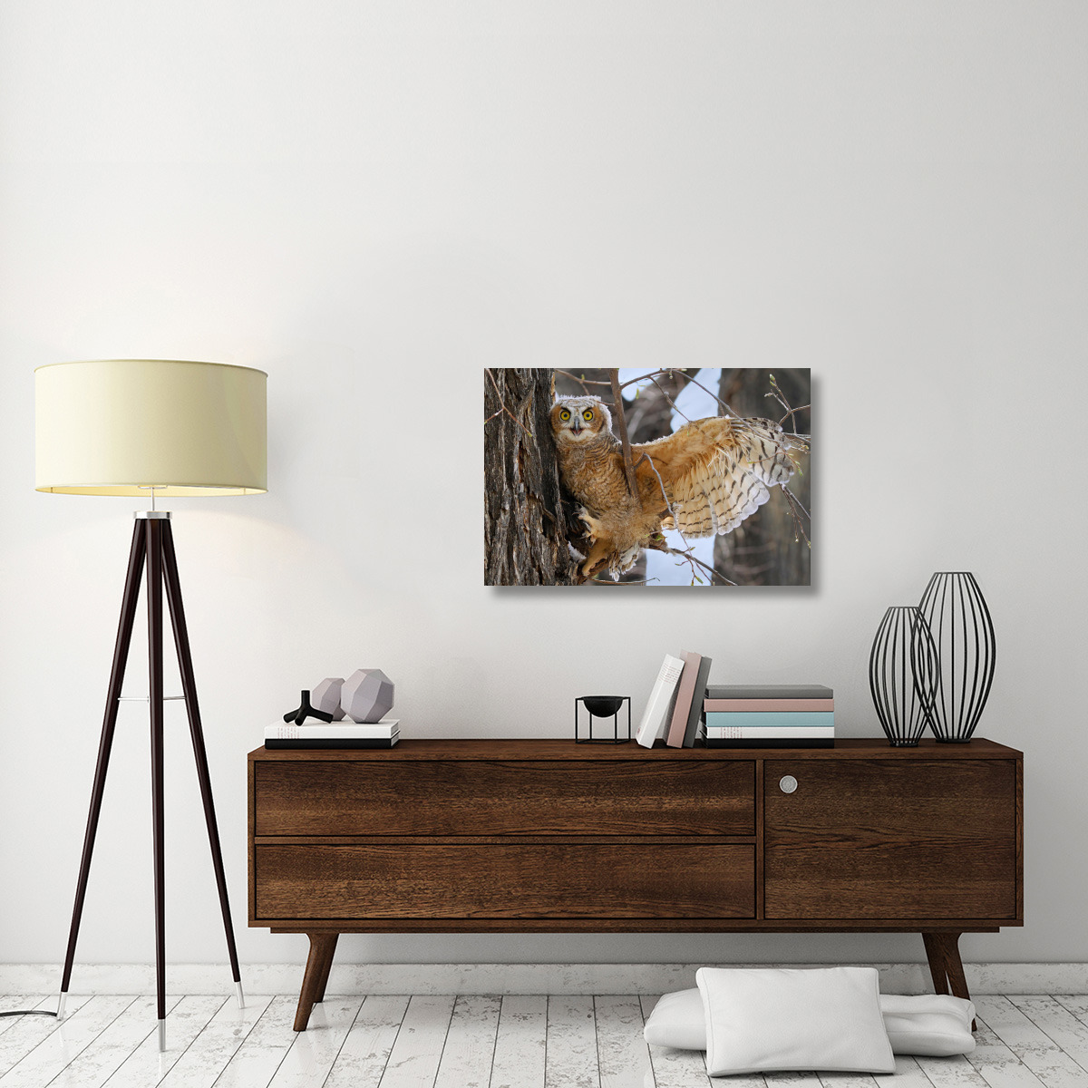 Fledgling Owl-Canvas Art-36&quotx24.12"