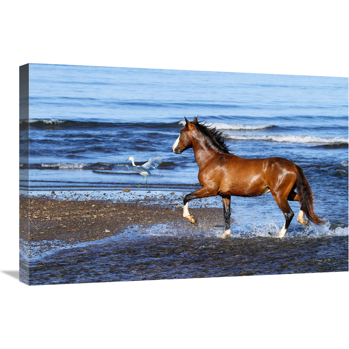 In Shallow Waters-Canvas Art-30&quotx20.1"