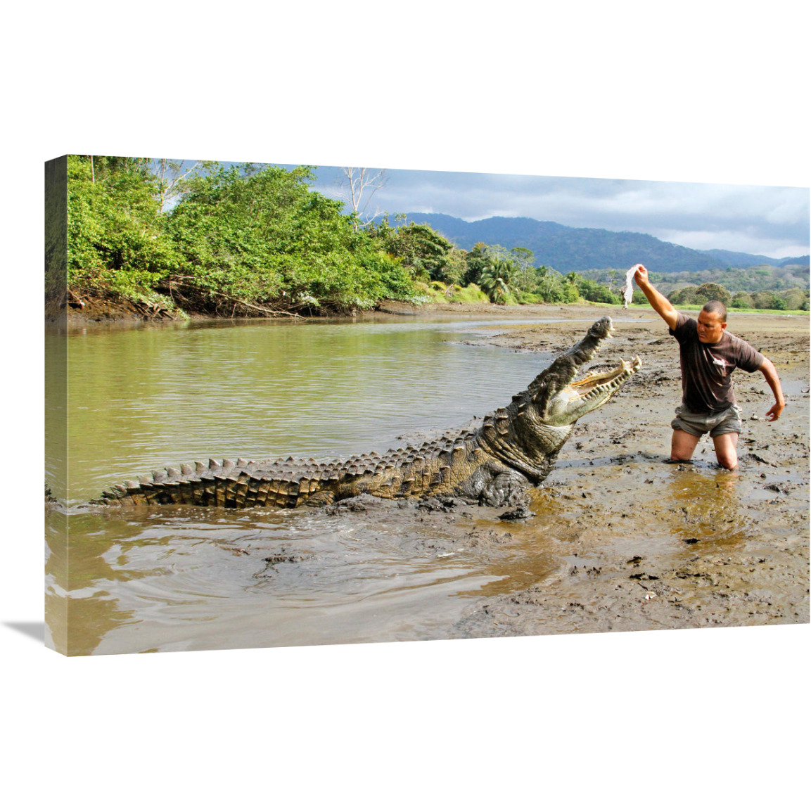 What&quots for Dinner-Canvas Art-30&quotx19.5"