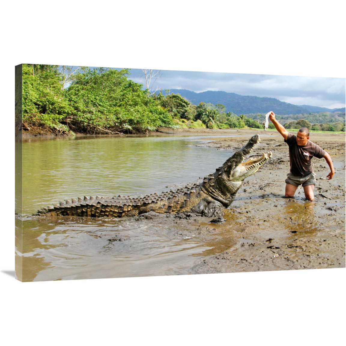 What&quots for Dinner-Canvas Art-40&quotx26"