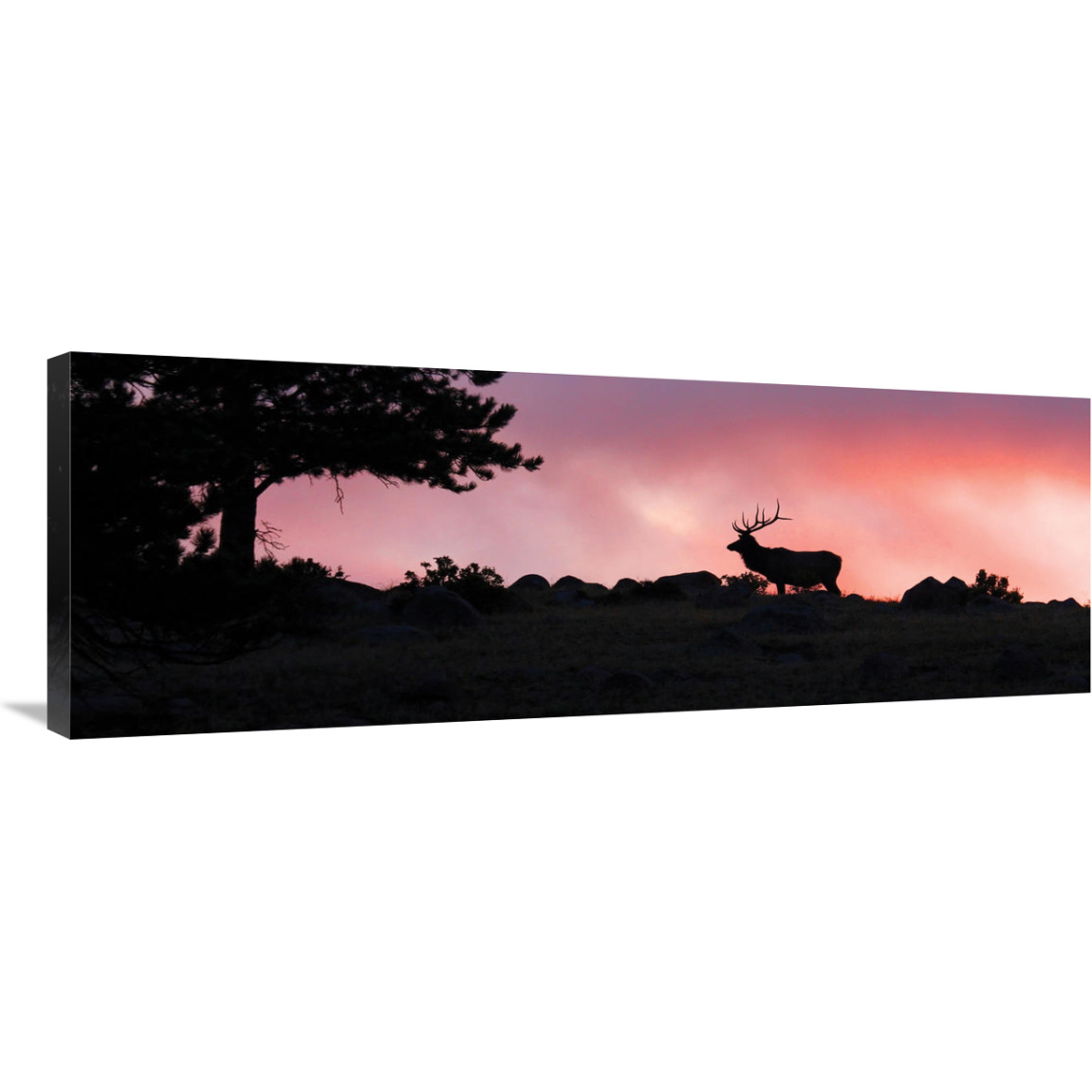 Red Sky at Night-Canvas Art-40&quotx14.4"