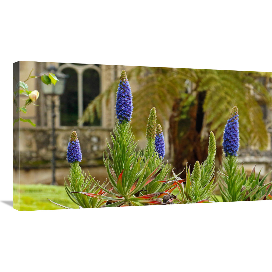 Sintra Gardens-Canvas Art-36&quotx20.52"