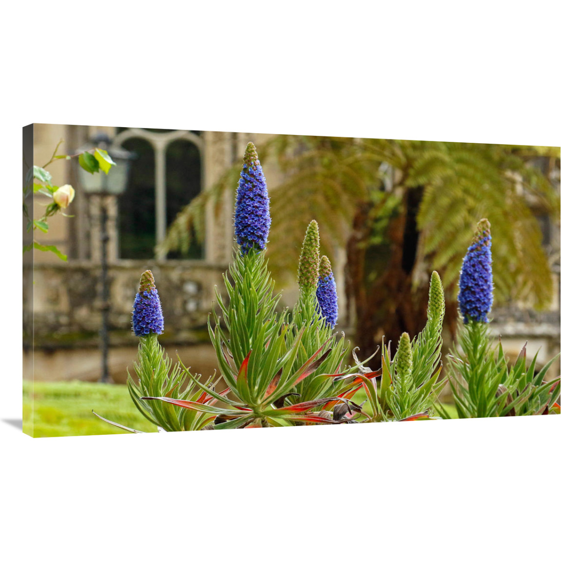 Sintra Gardens-Canvas Art-44&quotx25.08"