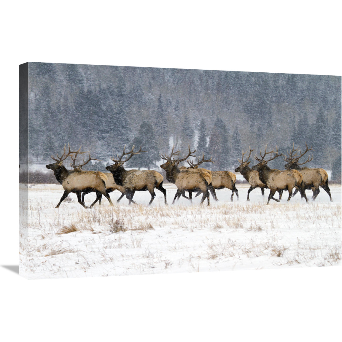 Band of Brothers in the Snow-Canvas Art-30&quotx20.1"