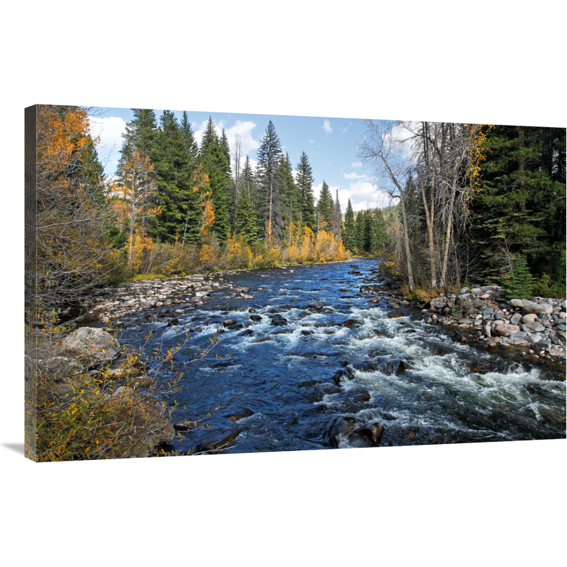 The Elk River-Canvas Art-40&quotx26"