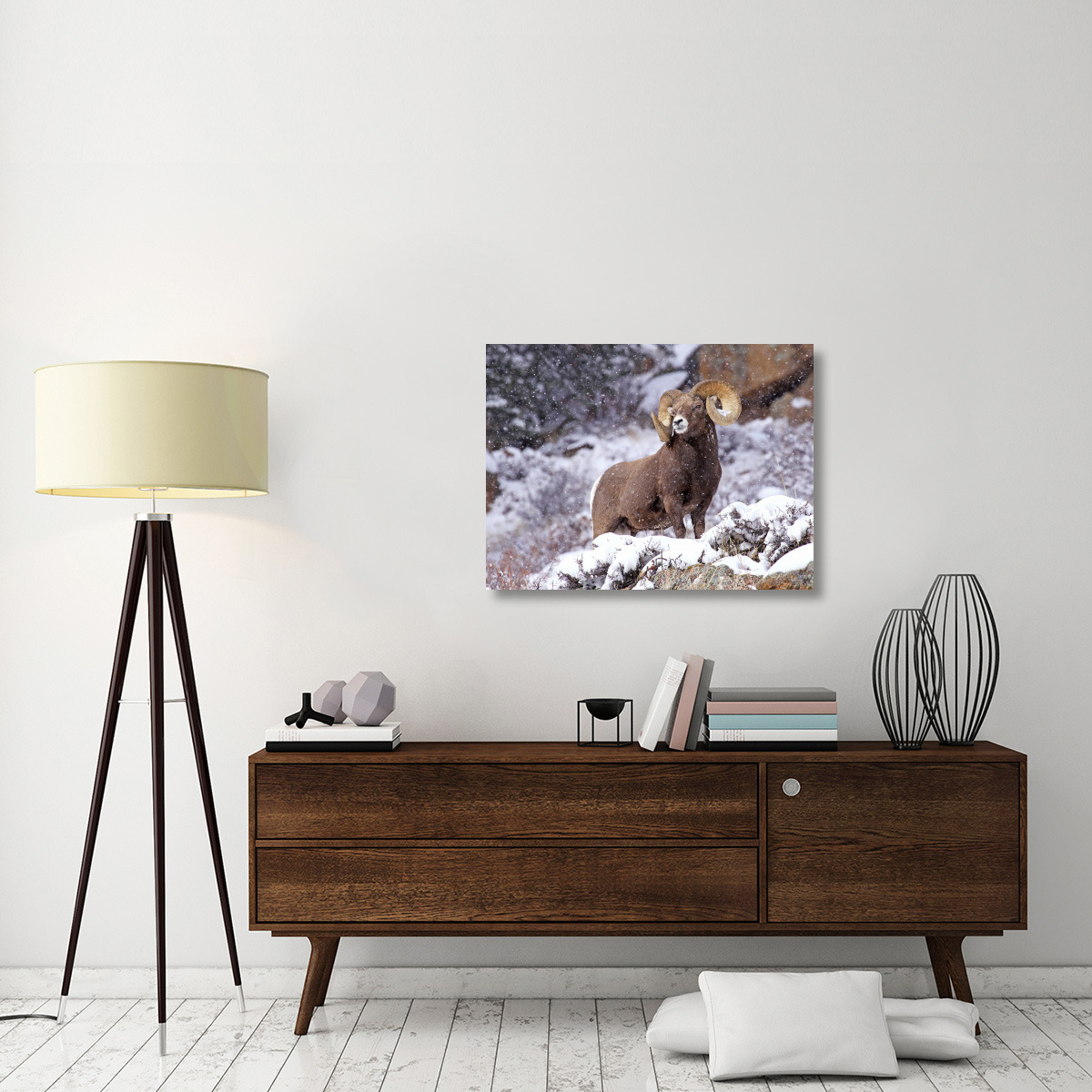 Bighorn Ram in Winter-Canvas Art-36&quotx27"