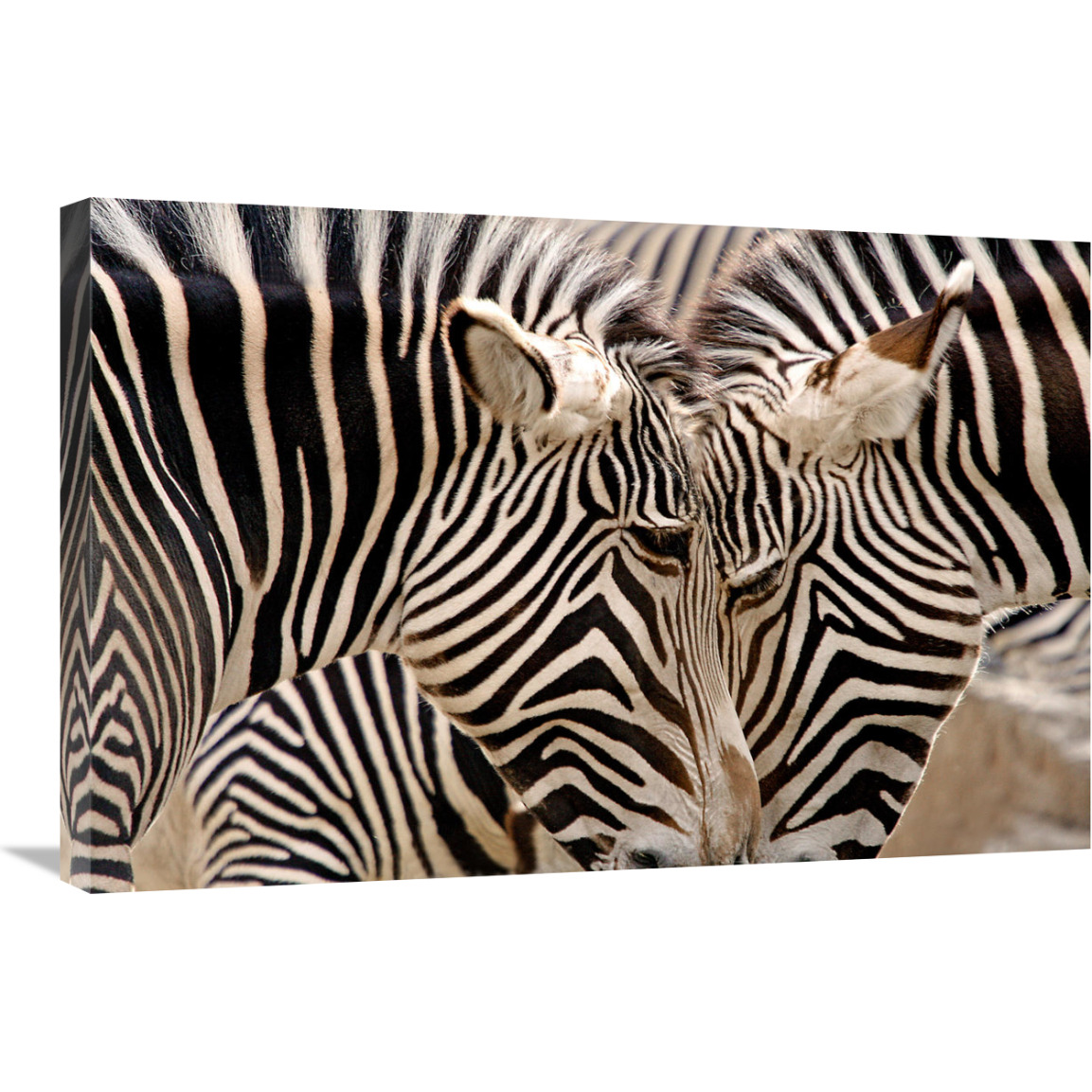 Head to Head-Canvas Art-30&quotx20.1"