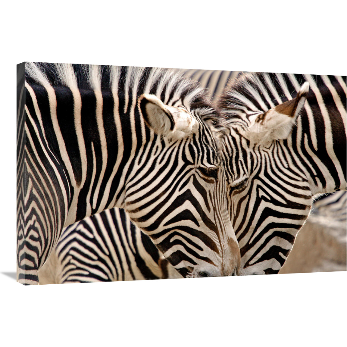 Head to Head-Canvas Art-36&quotx24.12"